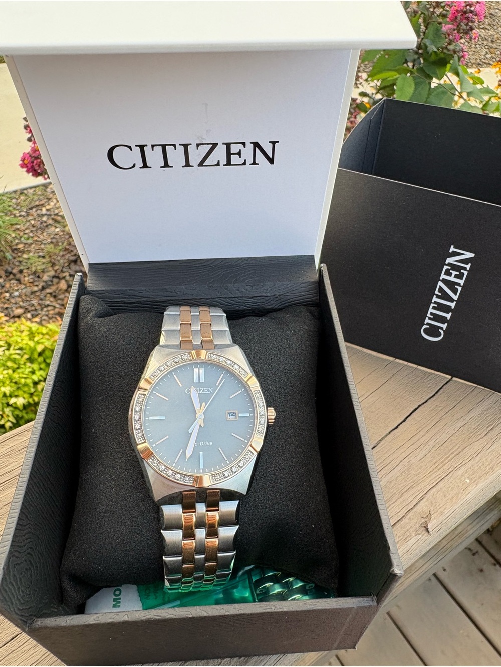 Citizen Two Tone Eco-Drive Men's Watch